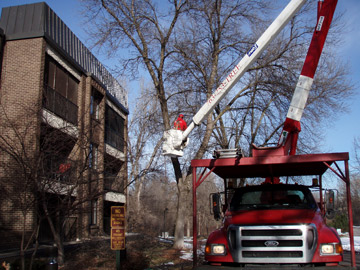 Tree Pruning